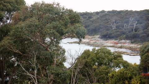 BAY OF FIRES SEACHANGE Ocean Frontage - Whitsundays Accommodation 15