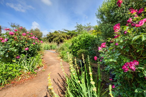 Wagners Cottages - Whitsundays Accommodation 30