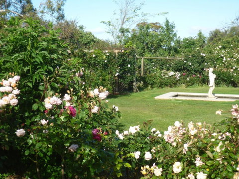 Wagners Cottages - Whitsundays Accommodation 6