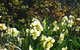 Wagners Cottages - thumb 13