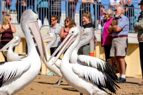 BIG4 Ingenia Holidays Phillip Island - Whitsundays Accommodation 17