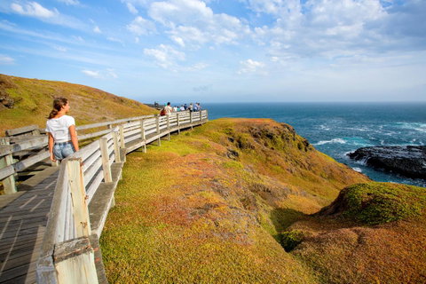 BIG4 Ingenia Holidays Phillip Island - Whitsundays Accommodation 19
