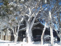 Book Dinner Plain Accommodation Vacations Whitsundays Accommodation Whitsundays Accommodation