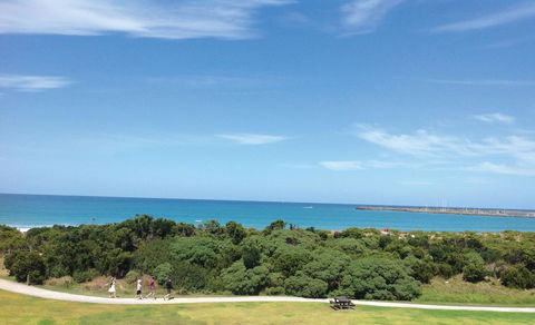 Apollo Bay Waterfront Motor Inn - Whitsundays Accommodation 26