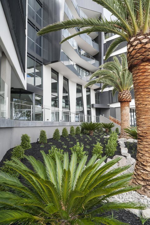 Caroline Serviced Apartments Sandringham - Whitsundays Accommodation 3