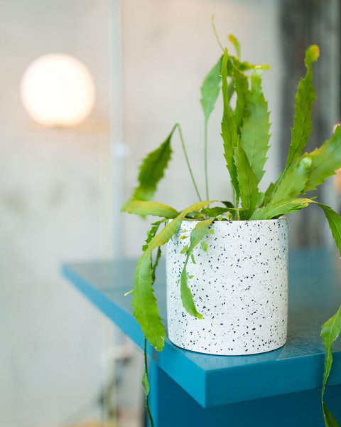 Sage Melbourne Ringwood - Whitsundays Accommodation 36