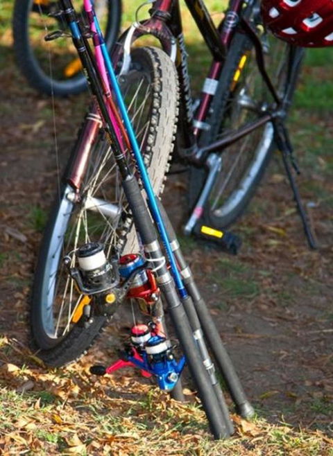 Marysville Caravan And Holiday Park - Whitsundays Accommodation 29