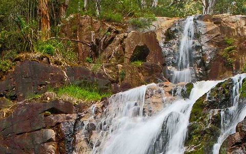 Marysville Caravan And Holiday Park - Whitsundays Accommodation 37