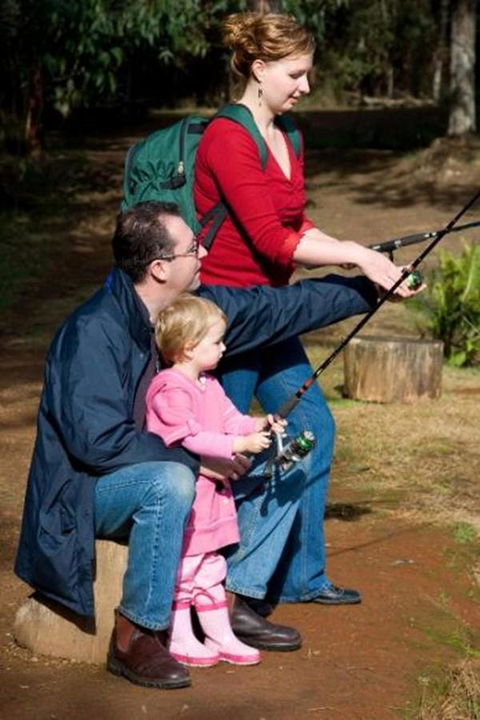 Marysville Caravan And Holiday Park - Whitsundays Accommodation 22