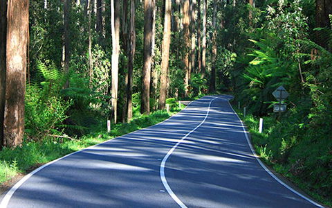 Marysville Caravan And Holiday Park - Whitsundays Accommodation 40