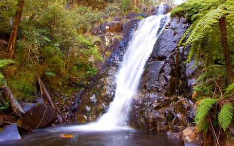 Marysville Caravan And Holiday Park - Whitsundays Accommodation 32