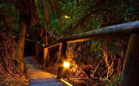 Marysville Caravan And Holiday Park - Whitsundays Accommodation 27