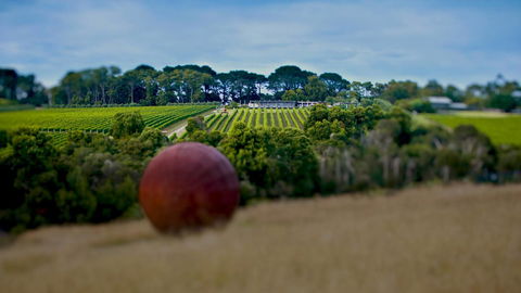 Nautique Beach House - Whitsundays Accommodation 25