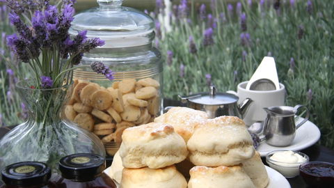 Nautique Beach House - Whitsundays Accommodation 16