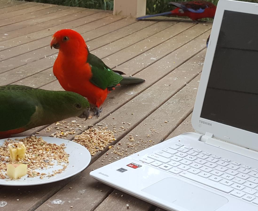  Whitsundays Accommodation