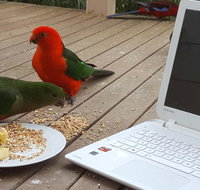 Wilsons Promontory Motel - Whitsundays Accommodation