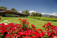 Book Yarra Glen Accommodation Vacations Whitsundays Accommodation Whitsundays Accommodation