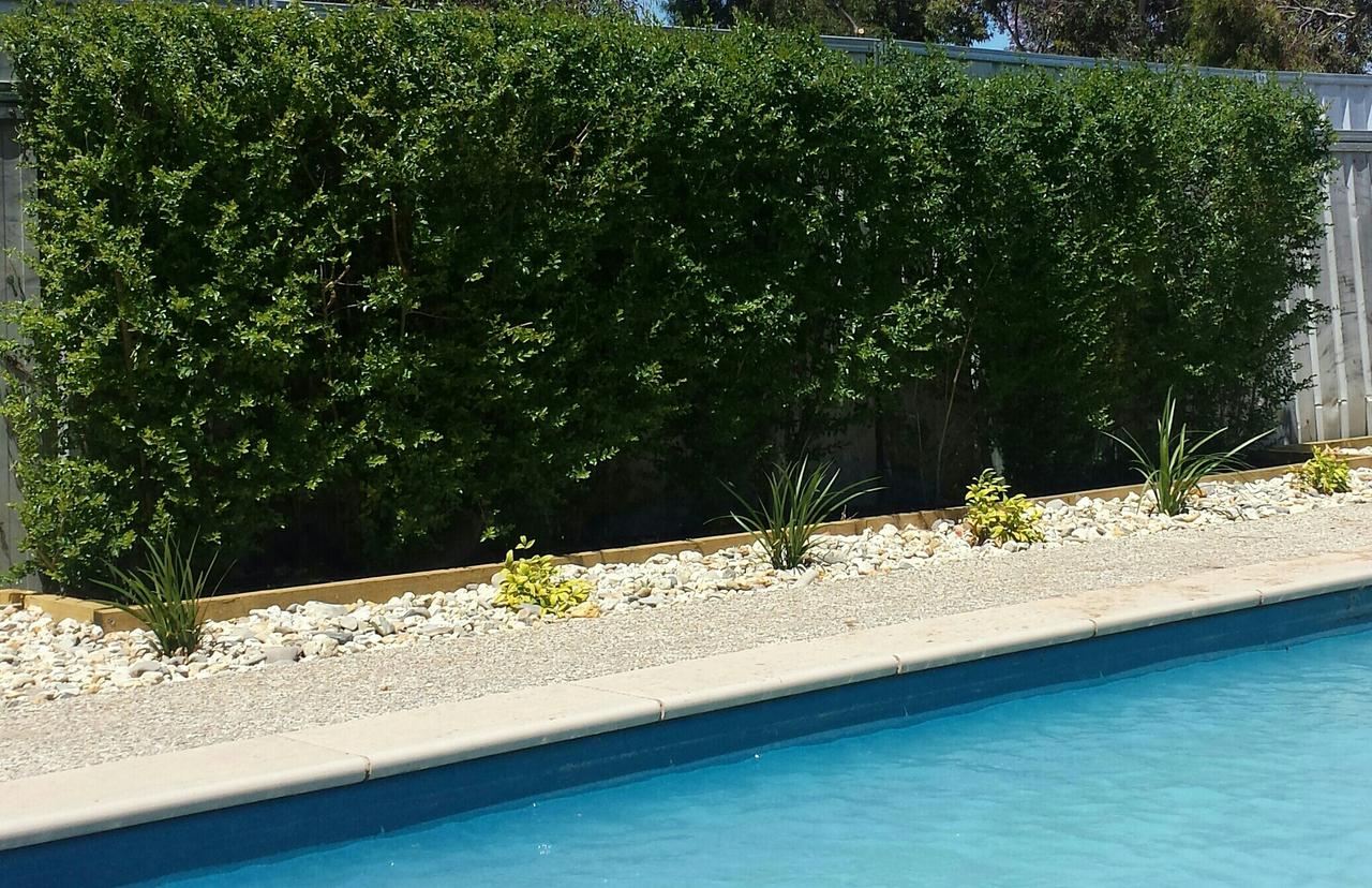 Annuello VIC Whitsundays Accommodation