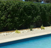 Robinvale Bridge Motel - Whitsundays Accommodation