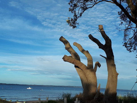 Apartments In Phillip Island Towers - Block C - Whitsundays Accommodation 10