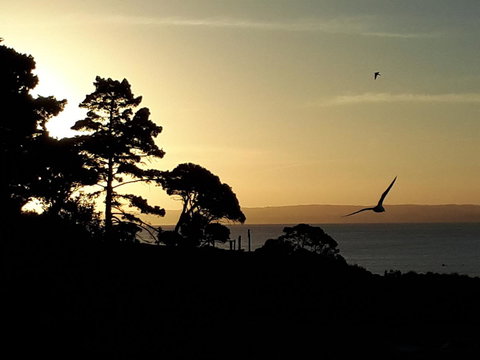 Apartments In Phillip Island Towers - Block C - Whitsundays Accommodation 19