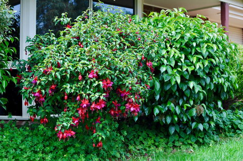 Crimea Retreat - Whitsundays Accommodation 18