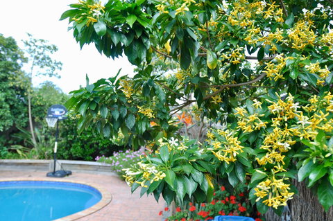 Crimea Retreat - Whitsundays Accommodation 20