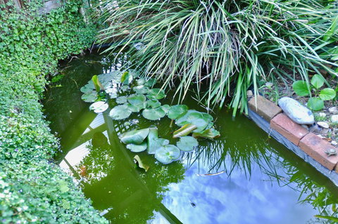 Crimea Retreat - Whitsundays Accommodation 26