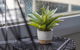Signature Waterfront Apartments - thumb 20