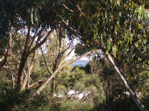 Aloha Ha Phillip Island - Whitsundays Accommodation 24
