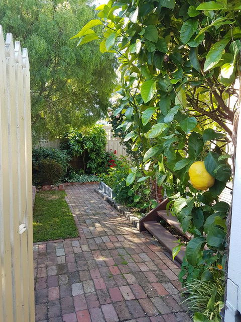 Healesville House - Fig Tree House - Whitsundays Accommodation 17