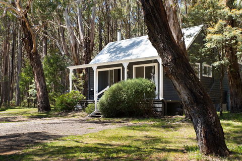 Bodhi Daylesford - Whitsundays Accommodation 26