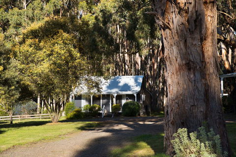 Bodhi Daylesford - Whitsundays Accommodation 8