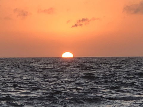 Beautiful, Cosy And Quiet - Whitsundays Accommodation 27