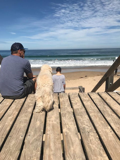 Beautiful, Cosy And Quiet - Whitsundays Accommodation 37