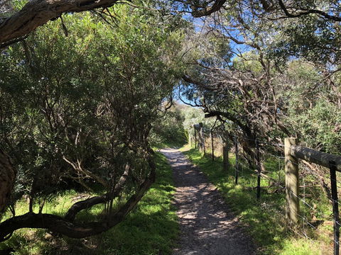 Beautiful, Cosy And Quiet - Whitsundays Accommodation 20