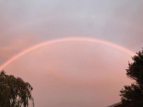 Beautiful, Cosy And Quiet - Whitsundays Accommodation 35