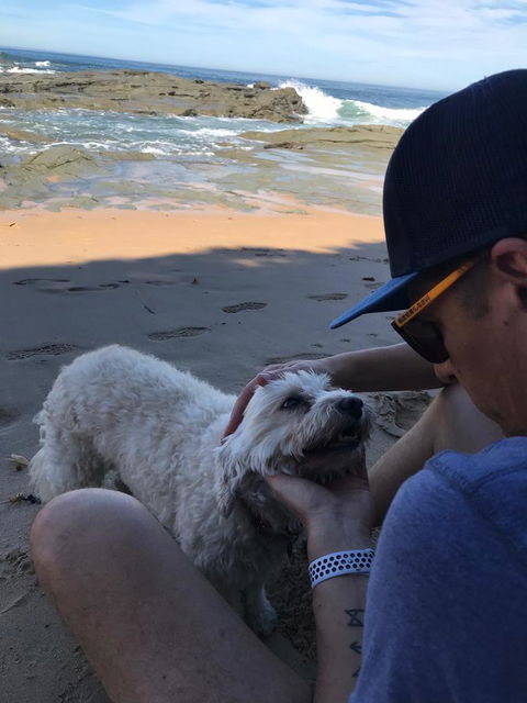 Beautiful, Cosy And Quiet - Whitsundays Accommodation 34