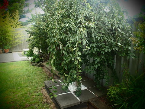 Azen Haven - Whitsundays Accommodation 12