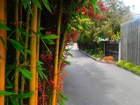 Azen Haven - Whitsundays Accommodation 14