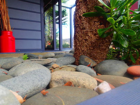 Azen Haven - Whitsundays Accommodation 11