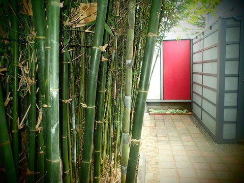 Azen Haven - Whitsundays Accommodation 13
