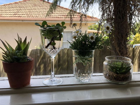 Growse House Yarram 3BR - Whitsundays Accommodation 10