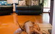 Ashwood Cottages - thumb 7