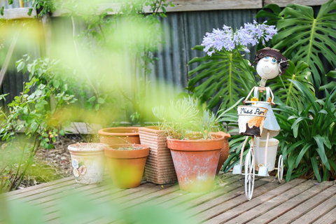 Miss Pym's Cottage - Whitsundays Accommodation 7