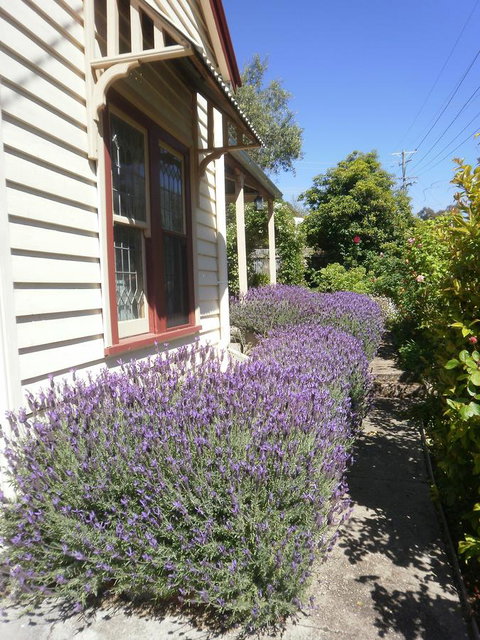 Miss Pym's Cottage - Whitsundays Accommodation 44