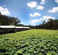 The Boathouses at Leaves  Fishes - Whitsundays Accommodation
