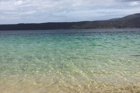 The Cove... On The Rocks At Port Arthur - Whitsundays Accommodation 1