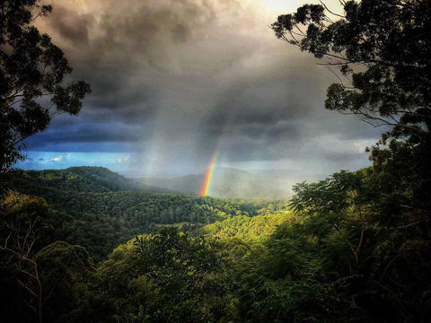 The Den Of The Treehouse, KINABALU Farm - Whitsundays Accommodation 0