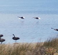 The DOLPHIN PLACE - Whitsundays Accommodation